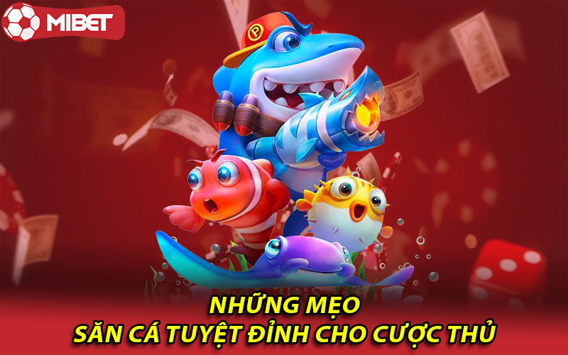 Những mẹo săn cá tuyệt đỉnh cho cược thủ