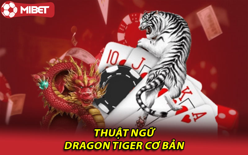 Thuật ngữ Dragon Tiger cơ bản 