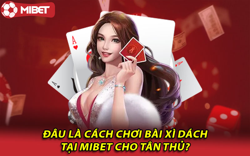 Đâu là cách chơi bài dách tại Mibet cho tân thủ?